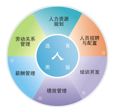 人力資源管理咨詢 提升組織效能的關(guān)鍵服務(wù)